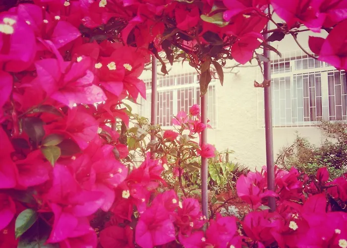 Hostel Nossa Casa
