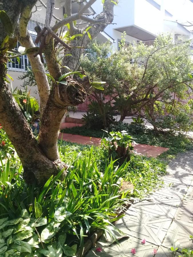 Nossa Casa Hostel *