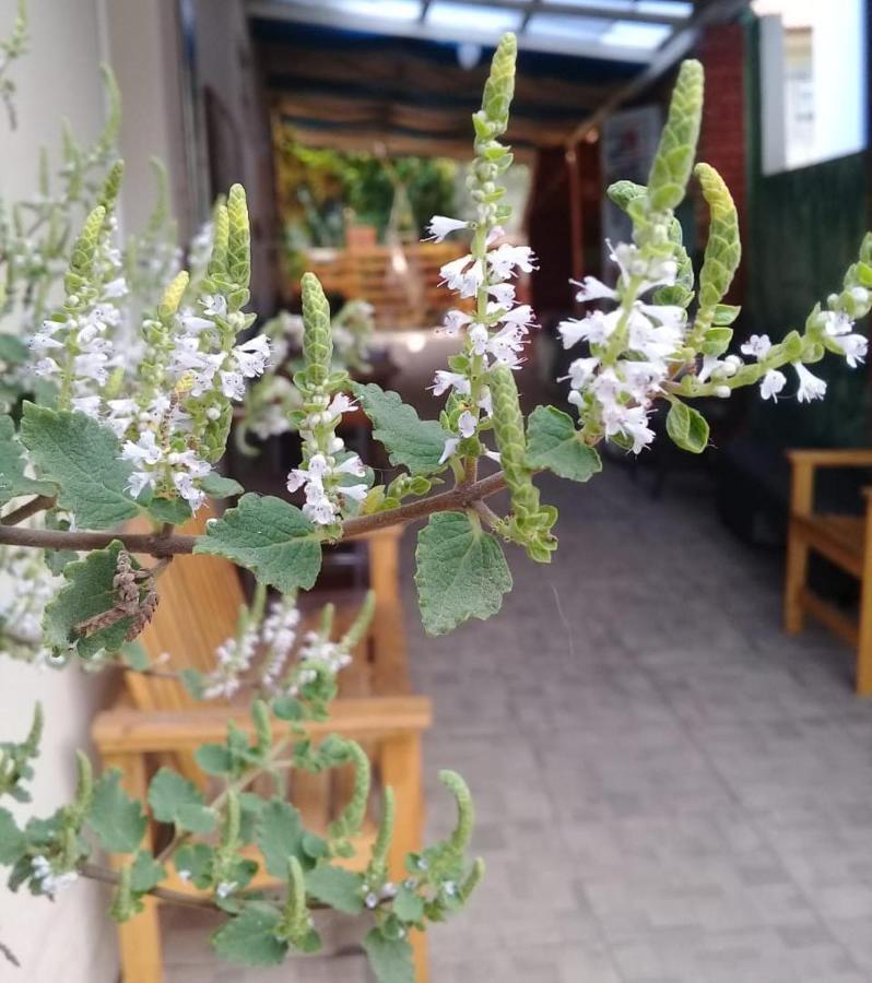 旅馆 Nossa Casa
