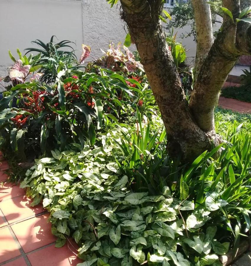 旅馆 Nossa Casa *